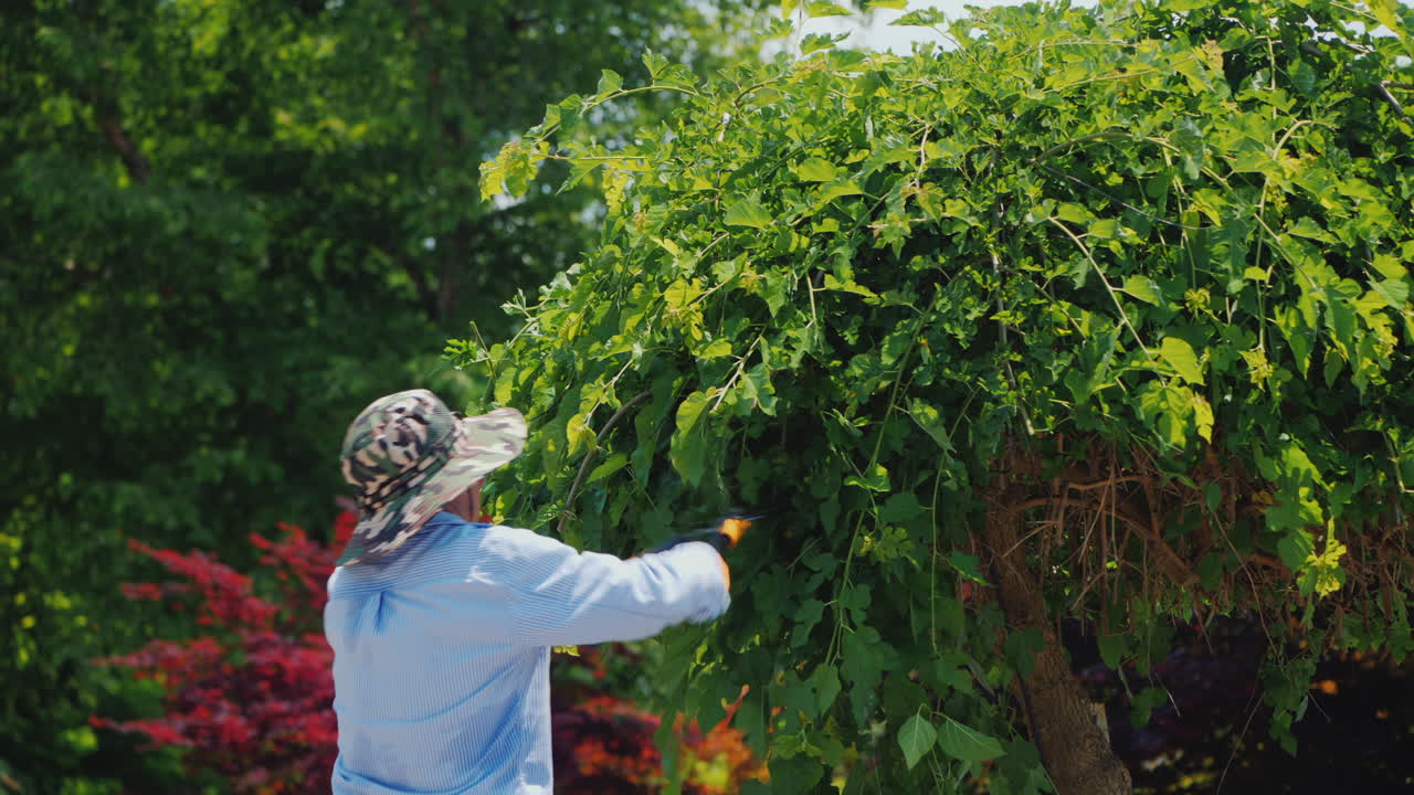 정원사는 정원 관리에서 나뭇가지를 자른다