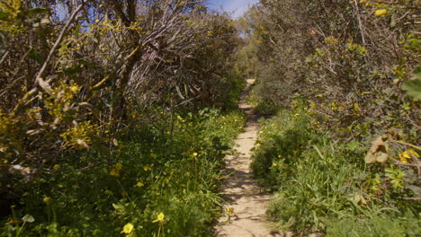 Walking-On-The-Narrow-Pathway-Near-Shoreline-Of-Algarve,-Portugal