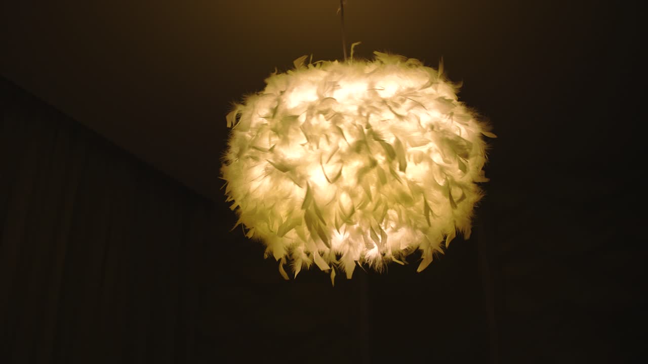 Pendant Fluffy White Feather Lamp Shade , White Light, Arc Shot