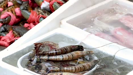 cangrejos y camarones en exhibición en el mercado