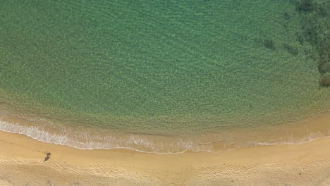 Aerial-top-down-view-man-alone-walking-on-a-beautiful-exotic-beach-with-clear-water-and-calm-waves-rolling-in