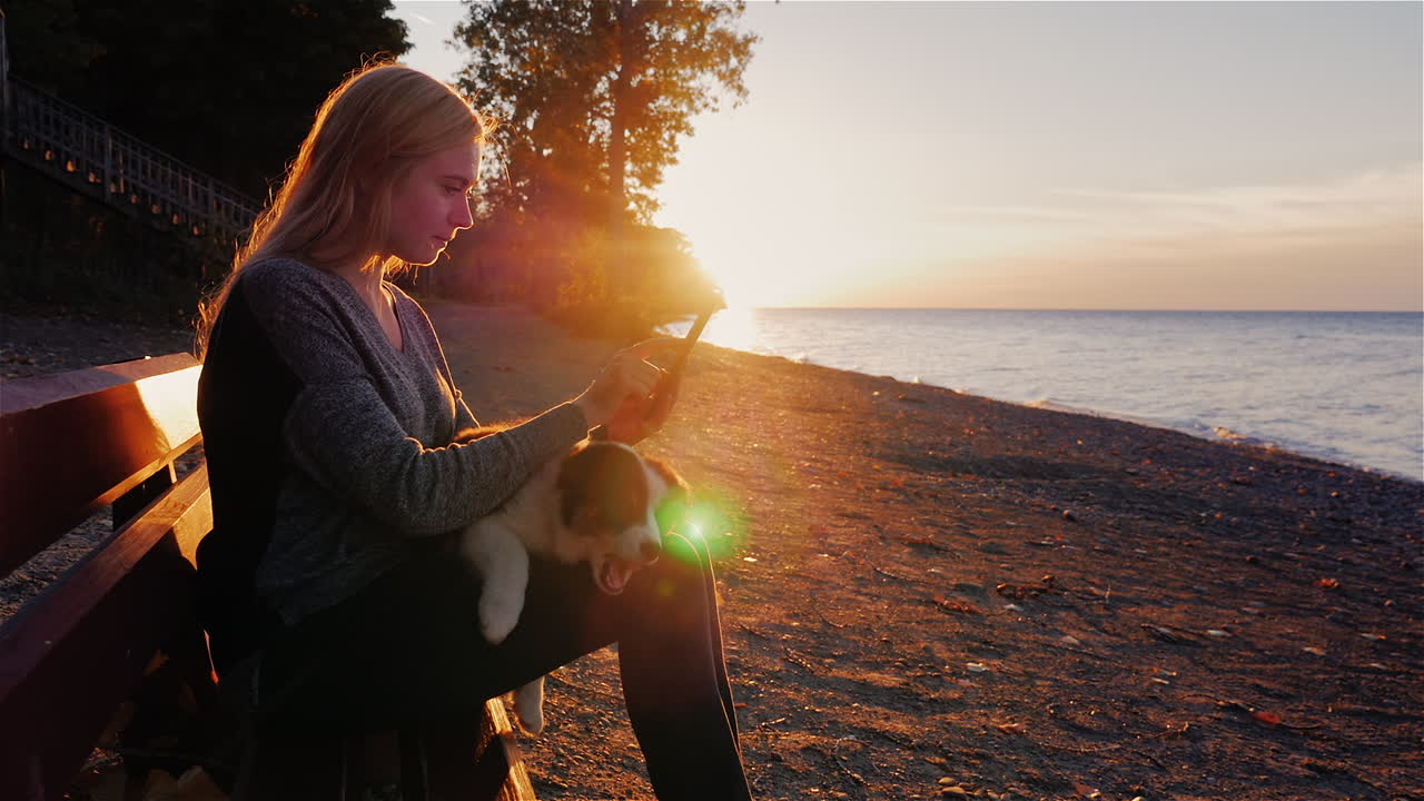 женщина отдыхает с собакой, сидя на скамейке на фоне красивого заката над озером онтарио