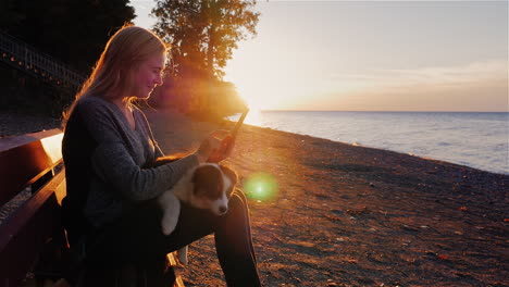 una mujer descansa con un perro sentado en un banco con el telón de fondo de una hermosa puesta de sol sobre el lago ontario