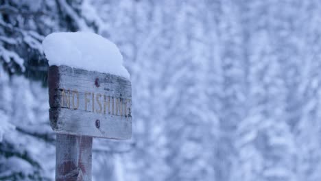 no fishing sign covered in snow