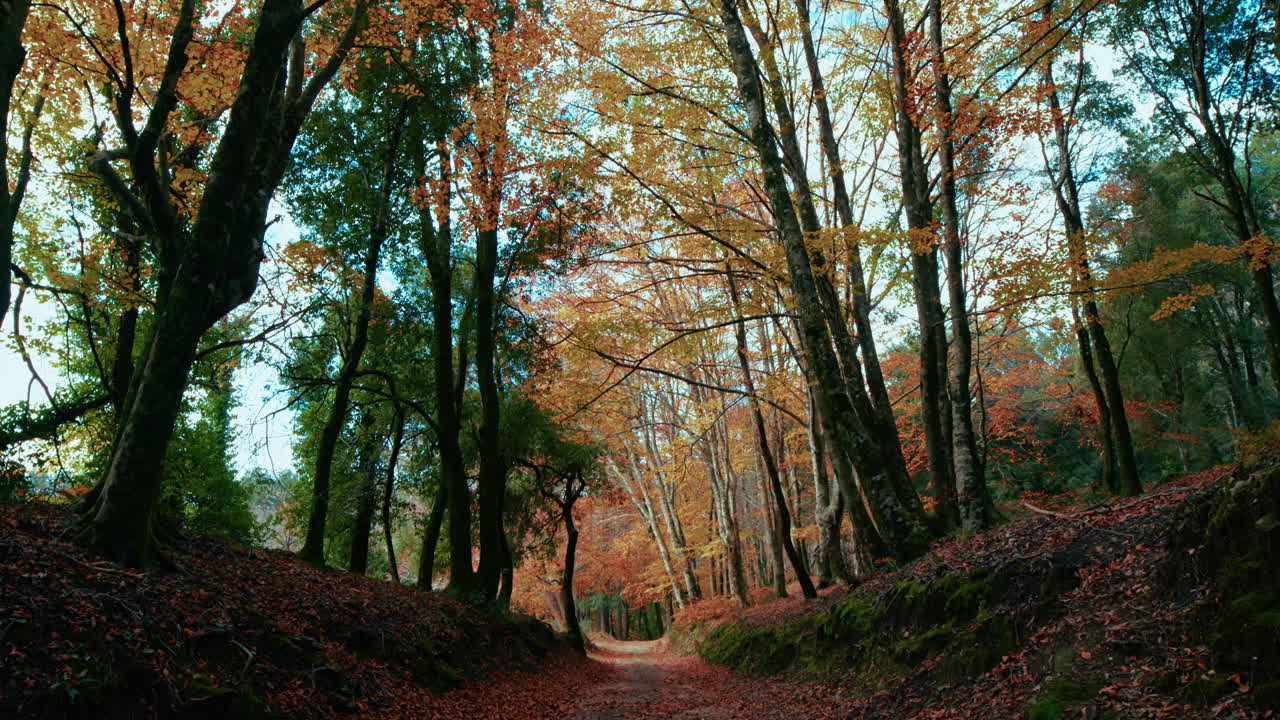 Autumn Mountain Hiking Trail in Italy Street