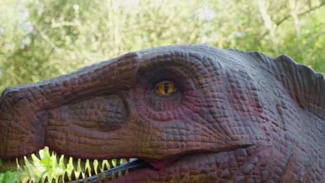 dinosaurio dimetrodon animatrónico abre el ojo, acerca la cabeza, 4k, 60 fps