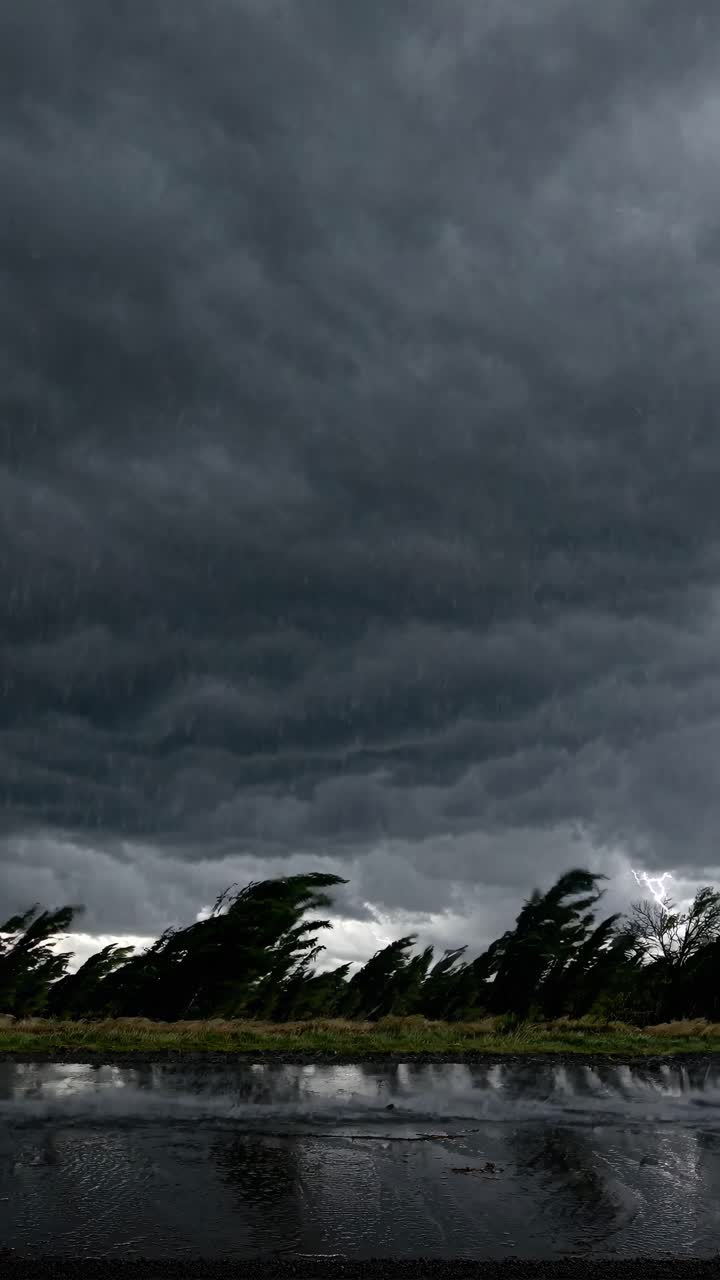 Dramatic low-angle shot of stormy skies and wind-swept trees, capturing intense weather