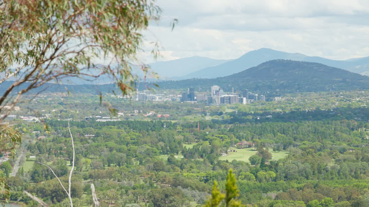 A scenic view of Canberra’s southern suburbs from atop Black Mountain, framed by a tree in the foreground. The shot captures the sprawling urban landscape nestled among natural surroundings.