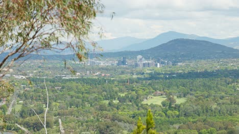 a scenic view of canberra’s southern suburbs from atop black mountain, framed by a tree in the foreground. the shot captures the sprawling urban landscape nestled among natural surroundings.