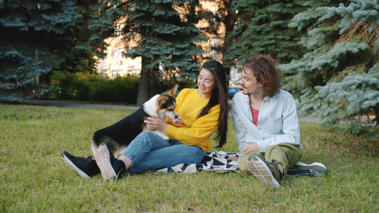 Couple enjoying a picnic with their dog in the park