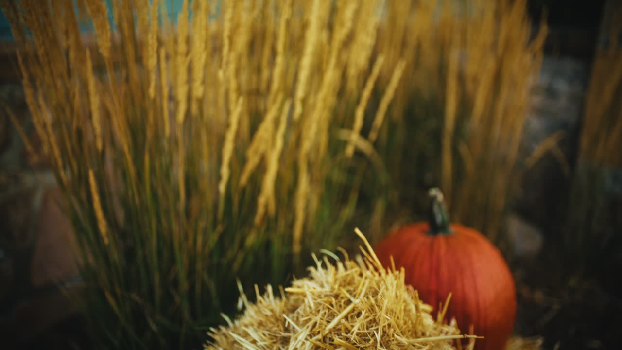 Fall Harvest and Day of the Dead Decorations