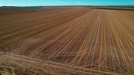elevación aérea sobre el campo de cultivo con huellas de neumáticos de máquinas agrícolas en el suelo