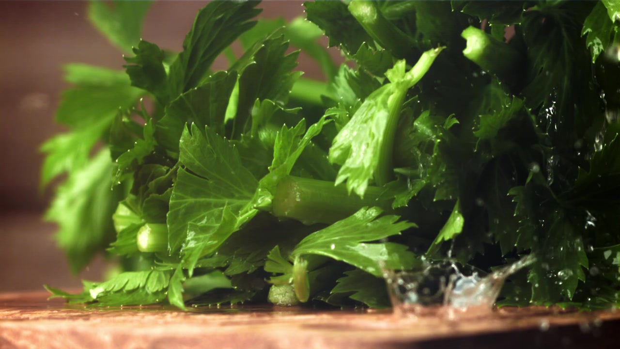 Water Splashing on Fresh Green Celery or Parsley Leaves