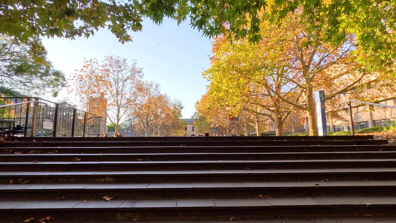 personas caminando y relajándose en las escaleras del campus