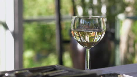delicioso vaso de vid blanca en una casa de cristal cerca del viñedo, vista de cerca