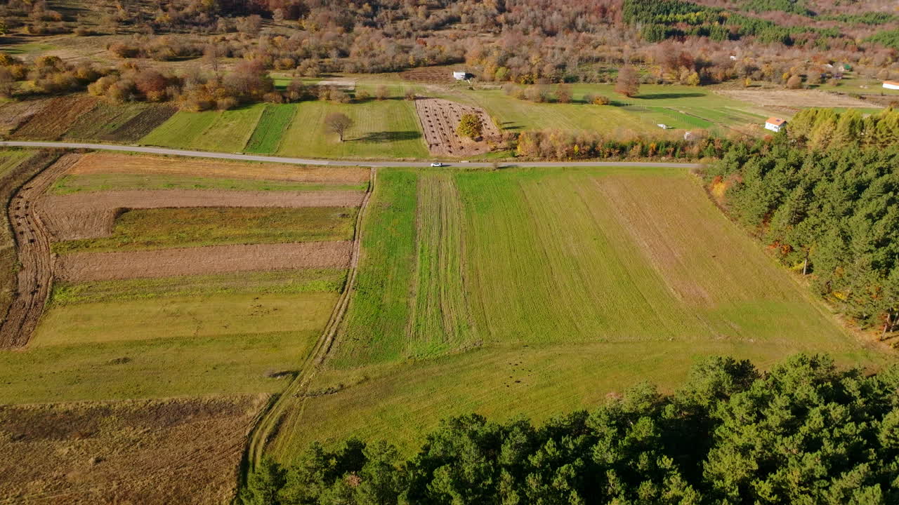 Aerial View of Rural Landscape with Agricultural Fields and Forests