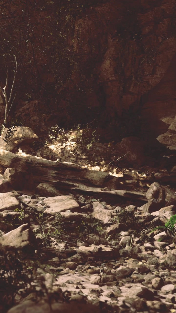 Exploring rocky terrain with sparse vegetation in a secluded area