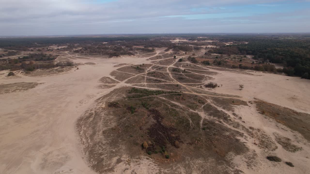 боковое аэрофотосъемка над песчаными дюнами лоонсе-эн-друненсе-дуйнен в нидерландах