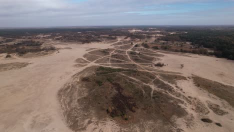 Sideways-aerial-pan-above-Loonse-en-Drunense-Duinen-sand-dunes-in-The-Netherlands