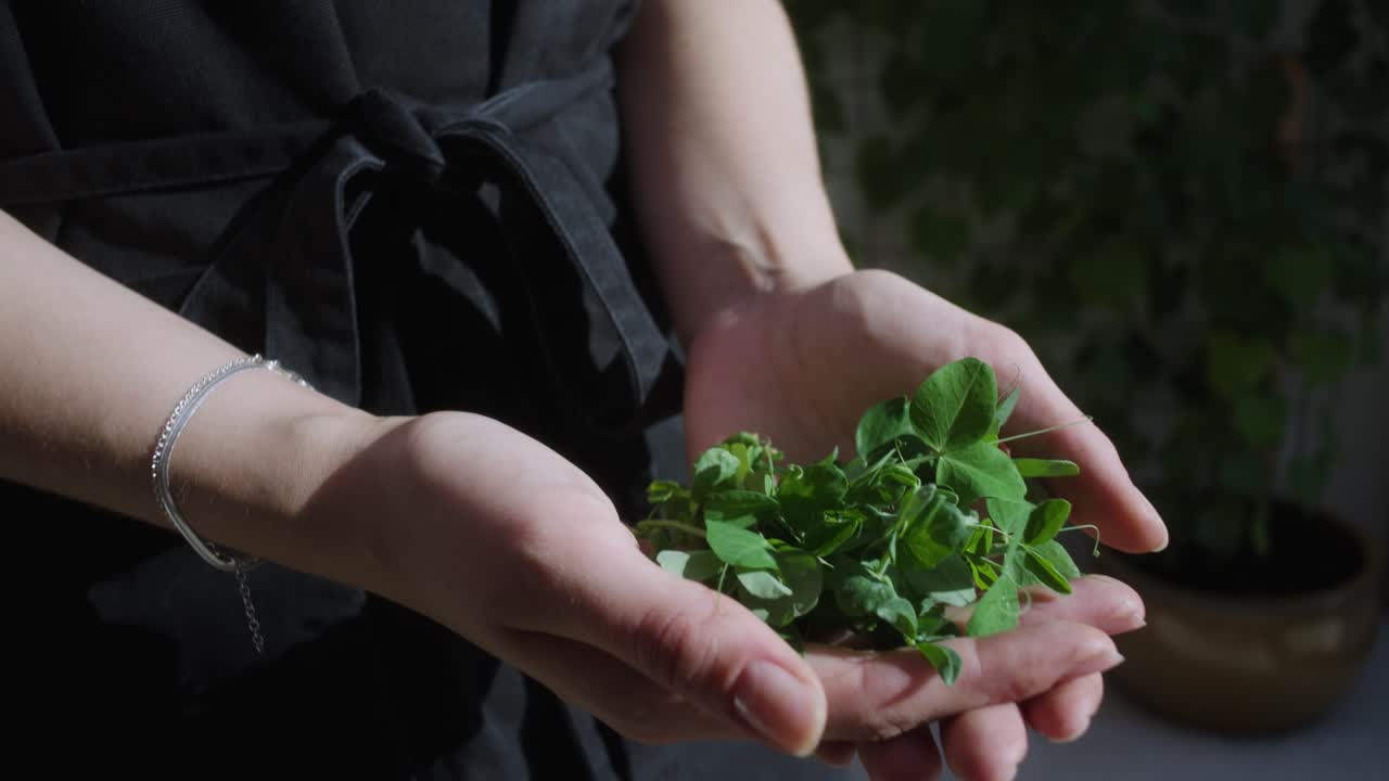 persona sosteniendo una ensalada verde micro en las manos