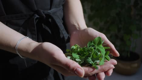 person holding micro green salad in hands