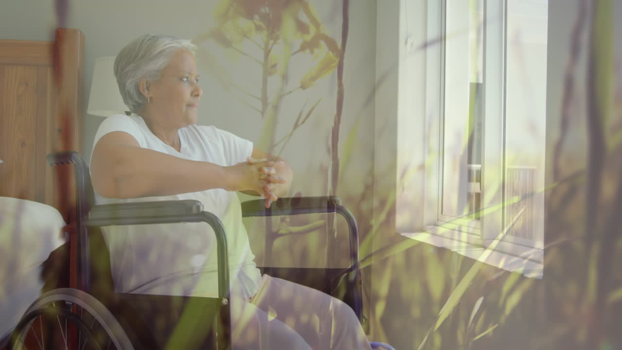 Animation von leuchtendem Licht über einer älteren Frau im Rollstuhl, die aus dem Fenster schaut.