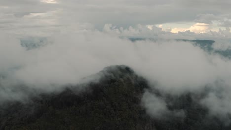 montaña aérea de drones en la selva tropical rodeada de nubes