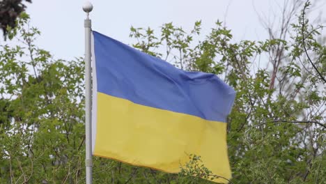 a close up of a waving ukrainian flag in slow motion with some trees around during a windy day.