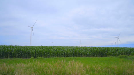 Wind-turbines-farm-on-green-field.-Landscape-with-wind-turbines-on-meadow