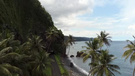 aerial fly up on tropical road landscape são tomé island, africa