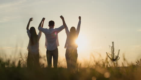 silhouettes of a group of friends holding hands and then raising them up. success and startup concept