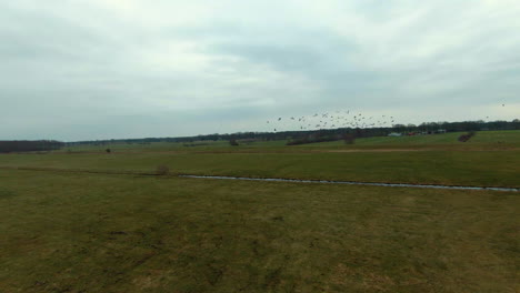 Fpv-Siguiente-Toma-Que-Muestra-Un-Grupo-Negro-De-Pájaros-Volando-Sobre-Campos-Agrícolas-Rurales-Durante-Un-Paisaje-Nublado-En-El-Cielo