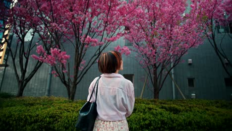 woman walking in a city with cherry blossoms