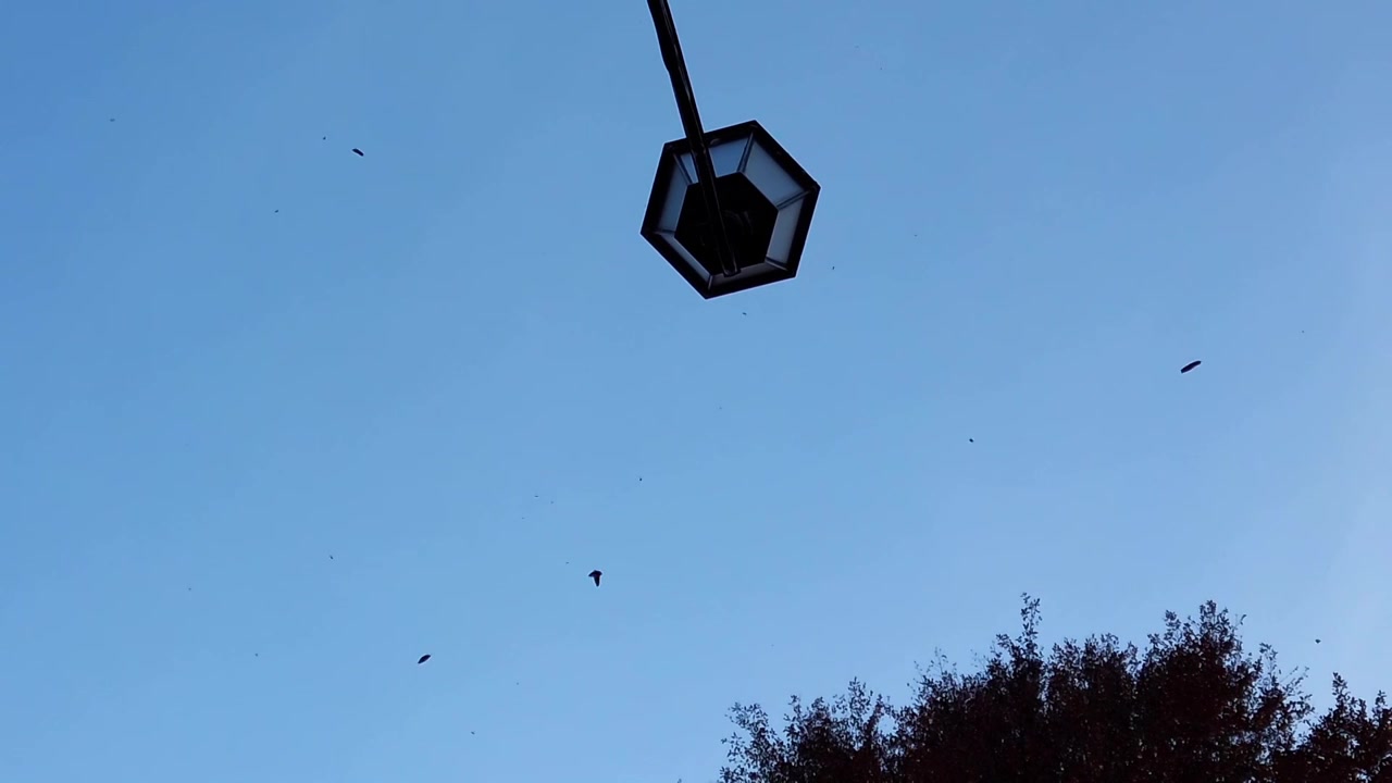 A lantern in the park against the backdrop of the sky. Shooting falling leaves in November.