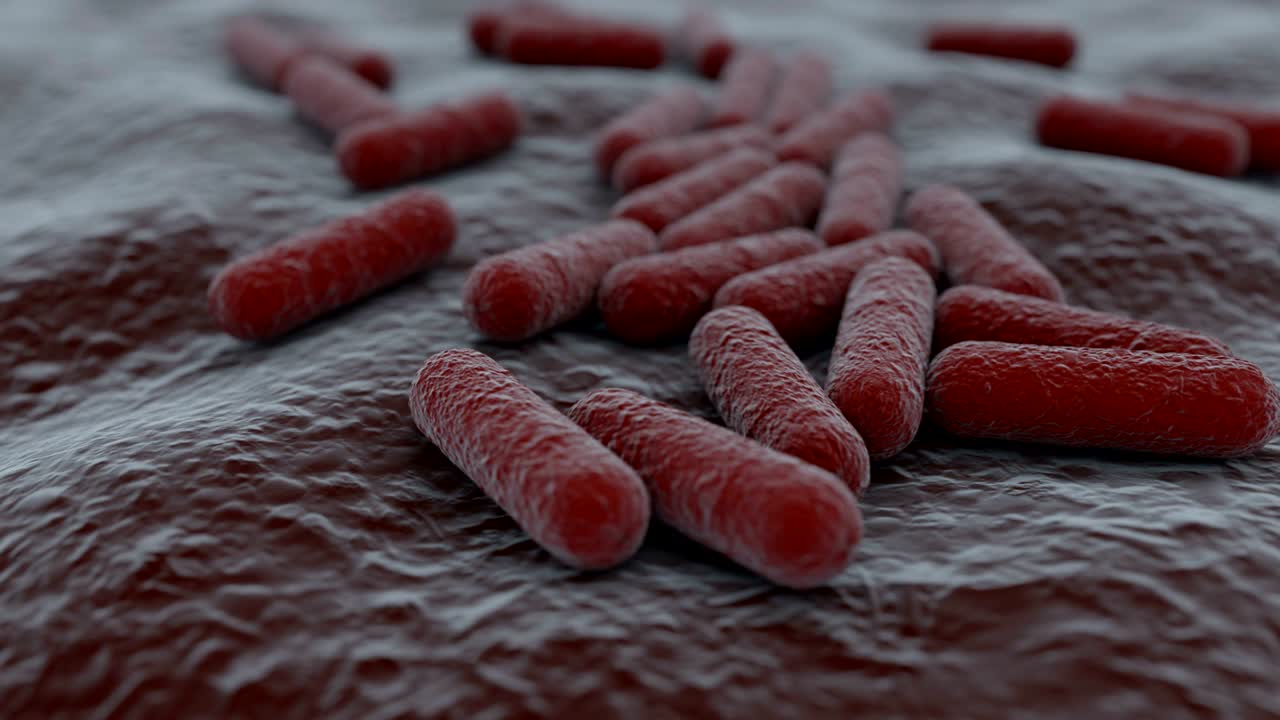 vista microscopica in 4k di una colonia di batteri.