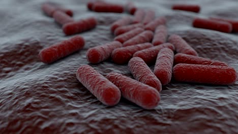 vista microscópica en 4k de una colonia de bacterias.