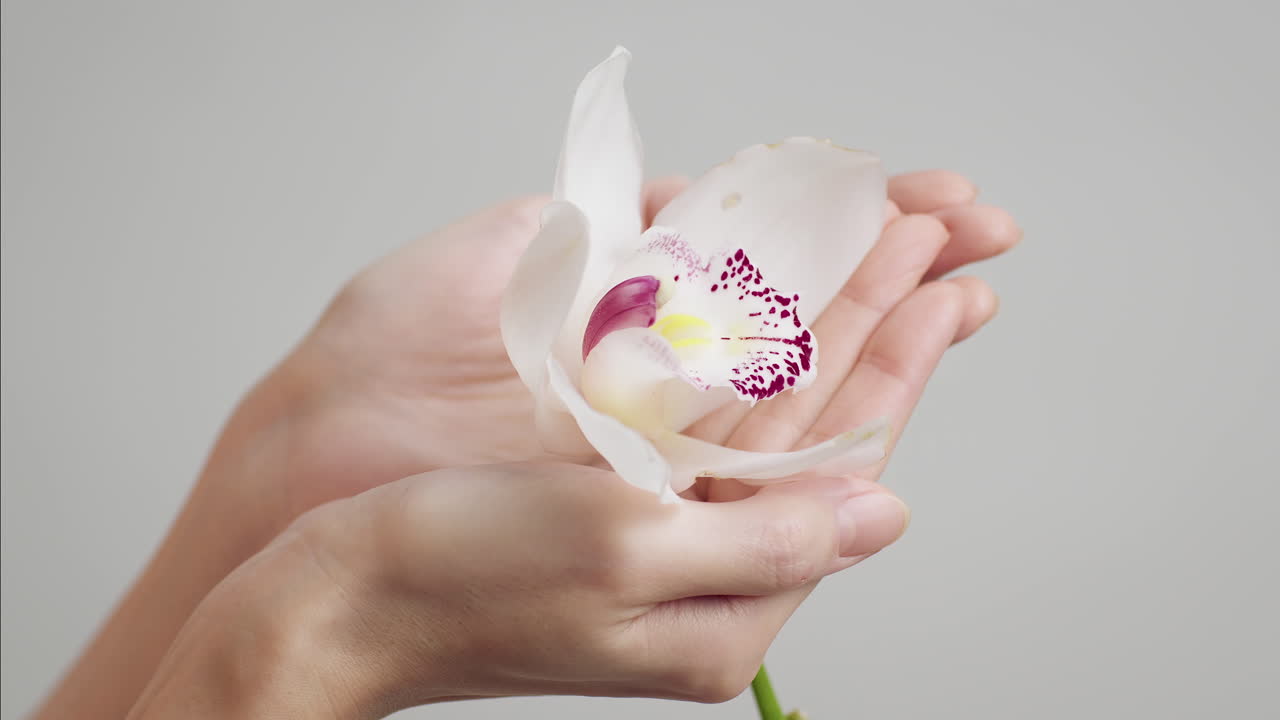 Delicate White Orchid in Hands