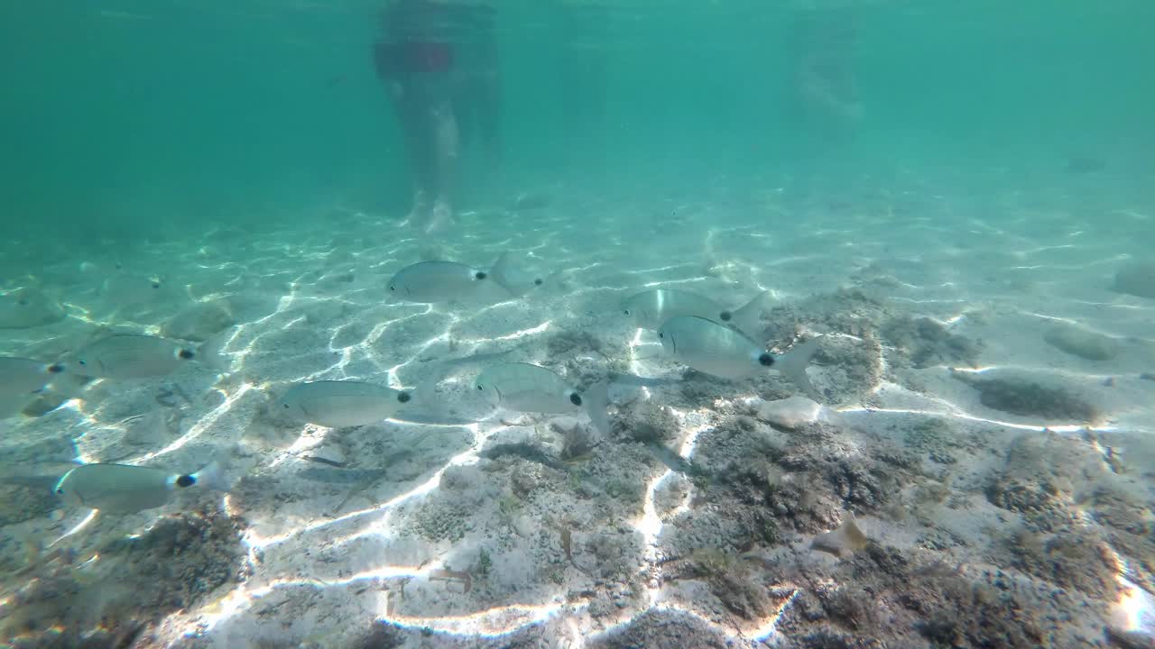 스페인, 마요르카, 칼라 산트 조르디, 이슬라 카브레라