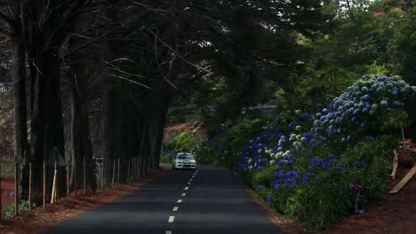 A-rally-car-passing-through-the-forest-towards-the-camera