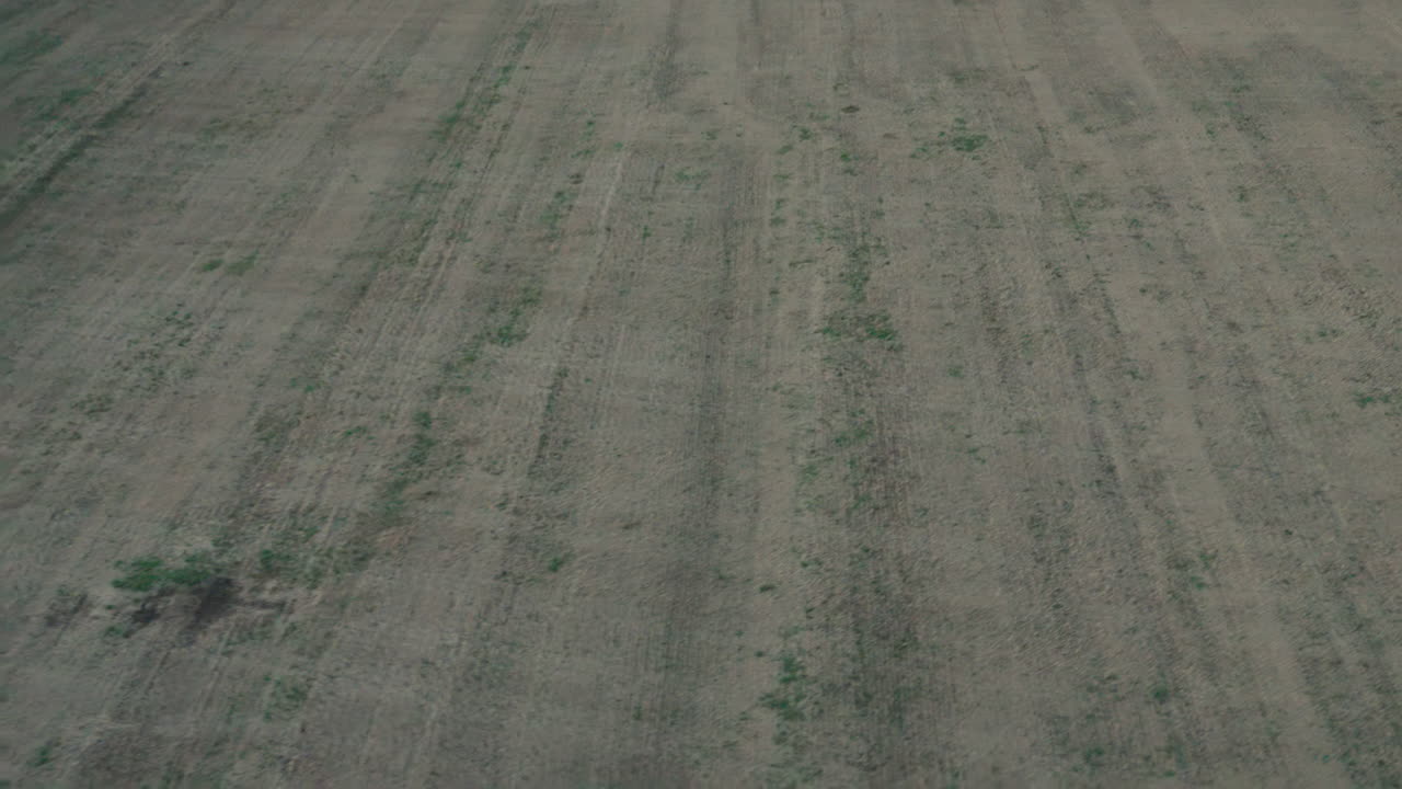 overhead drone captures vast harvested soil patterns across open farm land under gentle evening light, showcasing textured ground and faint rows stretching toward distant tree line