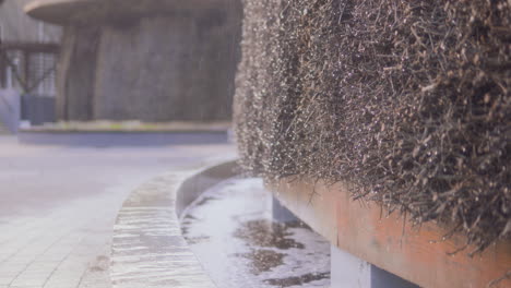 cropped portrait of a man walking by graduation tower with water dripping from brushwood with mineral deposits