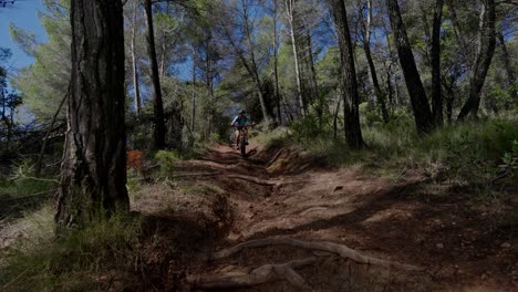 Mujer-Ciclista-De-Montaña-Cuesta-Abajo-Ciclismo-De-Montaña-Pista-Forestal