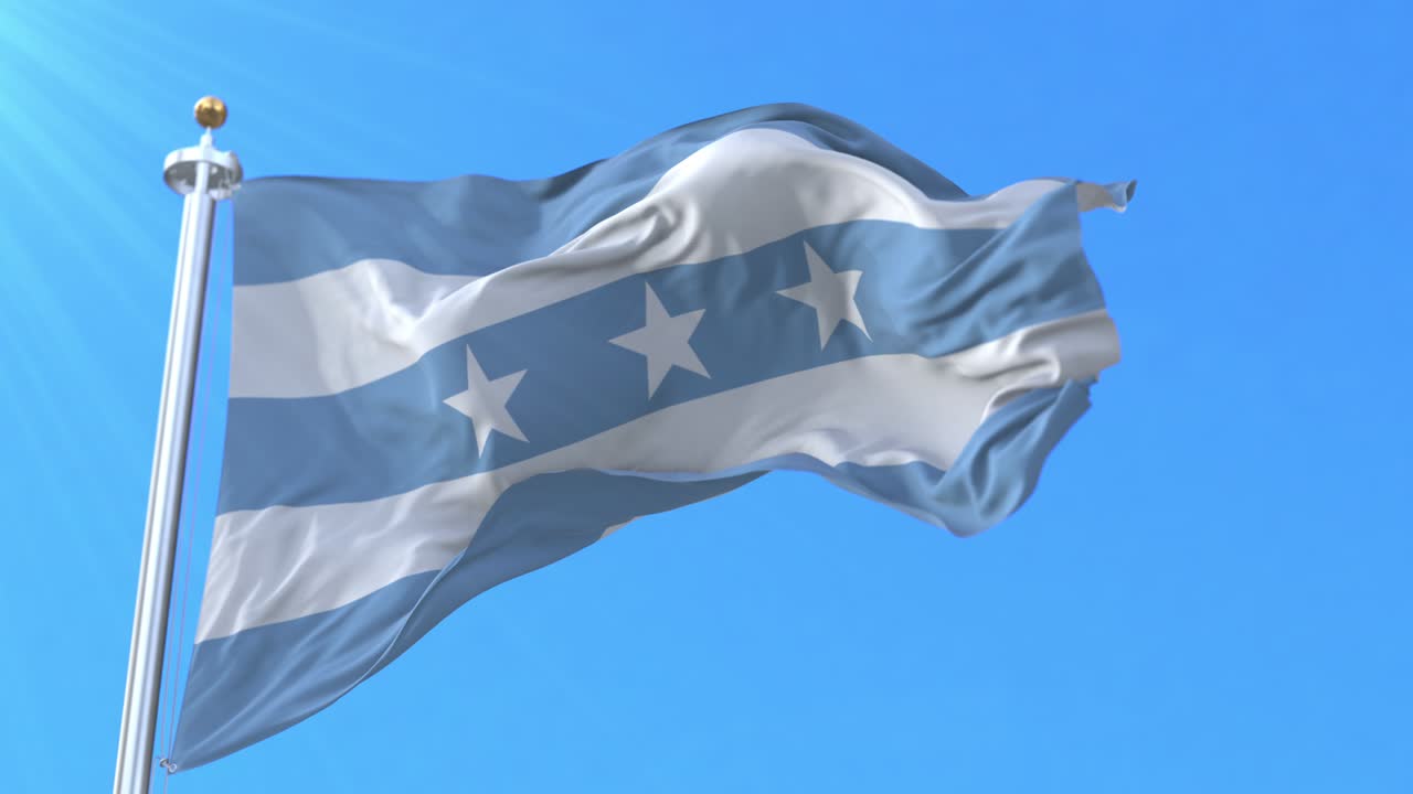 bandera de guayaquil, ecuador. bucle