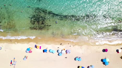 tropical beach full of people