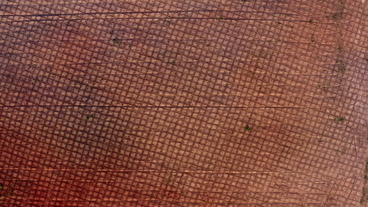 vista aérea de drones a vista de pájaro tiro ascendente de suelo naranja arado en muchas filas en una granja en el campo de río grande do norte en el noreste de brasil preparándose para planificar el campo