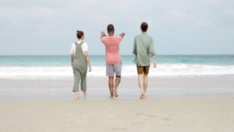 Walking,-back-and-friends-at-the-beach