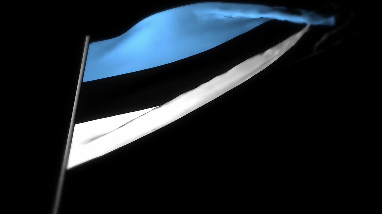 에스토니아 발: 발을 흔들고 있는 현실적인 3d 애니메이션, 에스토니아의 국기 바람에 흔들리고 있는 3d 애니메이션