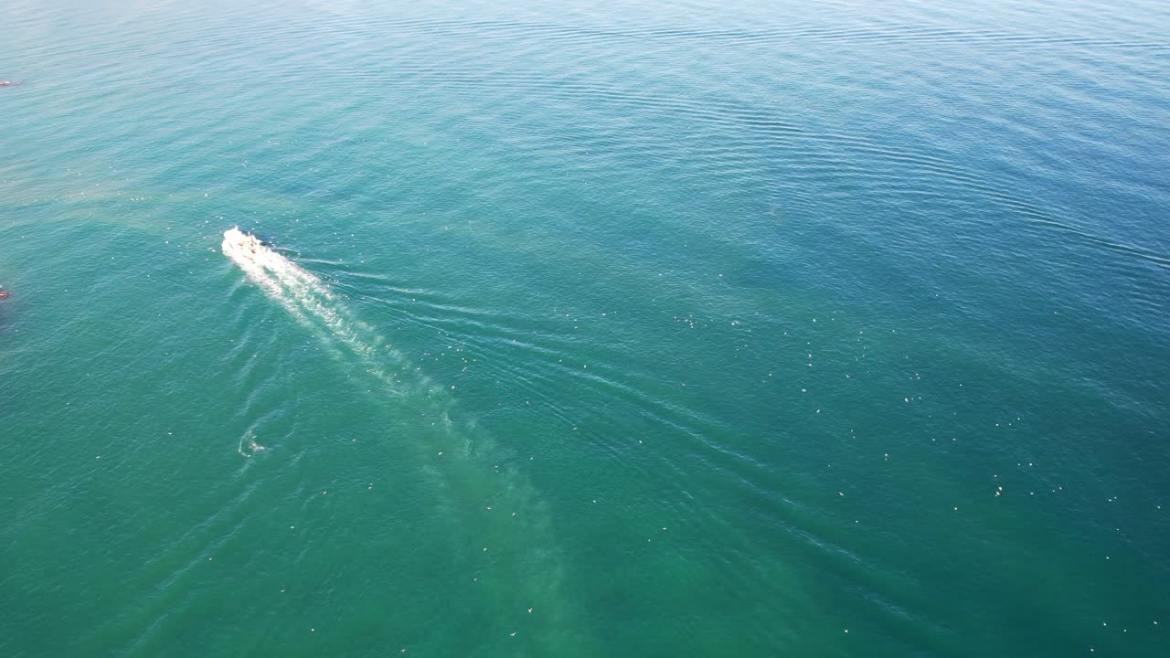 velero rodea el muelle rocoso con aguas azules, pájaros marinos volando sobre el vehículo