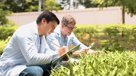 two young biotechnologist in white coat check water spinach for research with other species vegetables in organic farm. good quality products, remember growing plant, earths day agriculture concept.