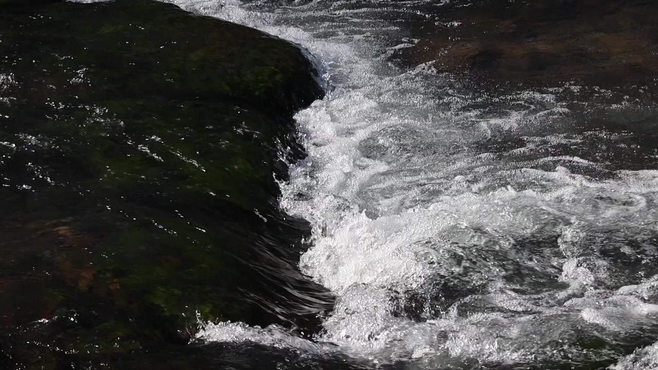 Crystal clear water of a mountain river flowing over a big stone, creating whitewater